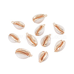 Гальванические соединители каури&nbsp;SHEL-CJ0001-01