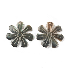 Оболочки губ натуральный черный подвески SSHEL-T012-10