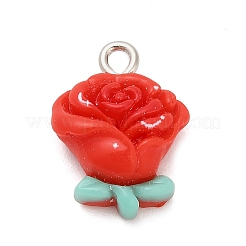 Подвески из непрозрачной смолы&nbsp;RESI-A047-04B