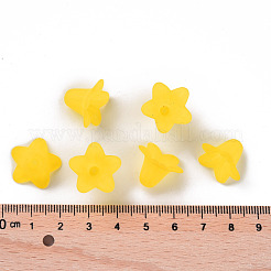 Прозрачные акриловые бусины PLF018-19