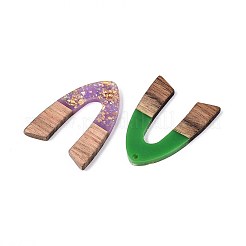 Подвески из непрозрачной смолы и орехового дерева RESI-T060-19M