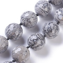 Natürliches Bild Jaspis Perlen Stränge, facettiert, Runde, 25 mm, Bohrung: 1.5 mm, ca. 16 Stk. / Strang, 17.32 Zoll (44 cm)