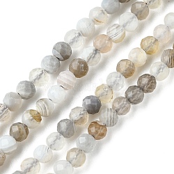 Natural Botswana Agate Beads Strands, Faceted, Round, 2mm, Hole: 0.5mm, about 197pcs/strand, 15.75 inch(40cm)