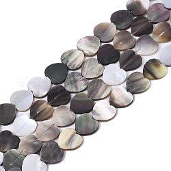 Fili di perline conchiglia nera naturale, cuore, 10x10x1.5mm, Foro: 0.8 mm, circa 42pcs/filo, 15.75 pollice (40 cm)