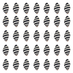Sunnyclue 50 Uds. Cuentas de concha en espiral natural, perlas sin perforar / sin orificios, negro, 10.5~16x6~11.5x6~10mm