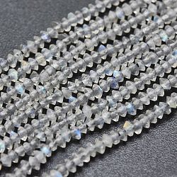 Chapelets de perles en labradorite naturelle , facette, Toupie, 2x1mm, Trou: 0.5mm, Environ 390 pcs/chapelet, 15.35 pouce (39 cm)