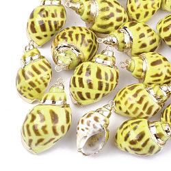 Sprühfarbe & Galvanisieren Spirale Shell Anhänger, mit  eisernem Zubehör, kantille, Licht Gold, Champagnergelb, 28~38x15~22x13~20 mm, Bohrung: 2 mm