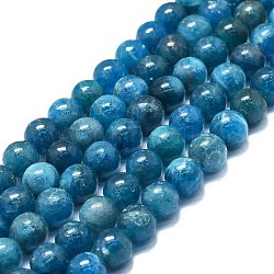 Natürliche Apatit Perlen Stränge, Runde, 8~9 mm, Bohrung: 0.8 mm, ca. 48~52 Stk. / Strang, 15.35''~16.54'' (39~42 cm)