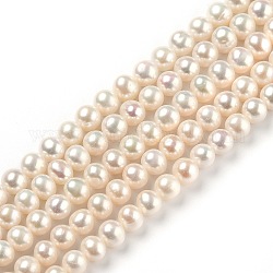 Brins de perles de culture d'eau douce naturelles, ronde, bisque, 6.5x7mm, Trou: 0.5mm, Environ 57 pcs/chapelet, 14.57 pouce (37 cm)