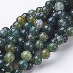 Chapelets de perles en agate mousse naturelle, ronde, environ 8 mm de diamètre, Trou: 1mm, Environ 51 pcs/chapelet