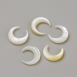 Natürliche weiße Muschel Perlmutt Muschel Cabochons, Mond, Muschelfarbe, 8x7.5x2 mm