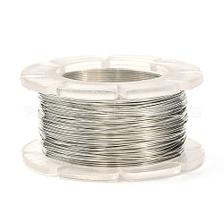 Round Copper Craft Wire, for Jewelry Making, Long-Lasting Plated, Platinum, 24 Gauge, 0.5mm, about 39.37 Feet(12m)/roll.