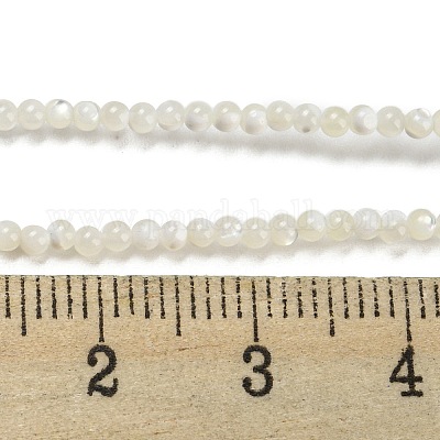 Нити бусин из натуральных трохоидных/трохус ракушек BSHE-Z005-01-1