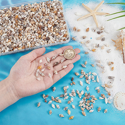 Мини-бусины из натуральных ракушек BSHE-PH0001-57A-1