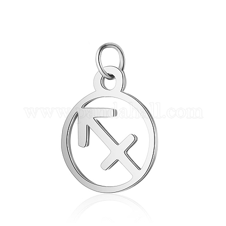 304 Edelstahl Anhänger / charms STAS-T036-T513-A9-1