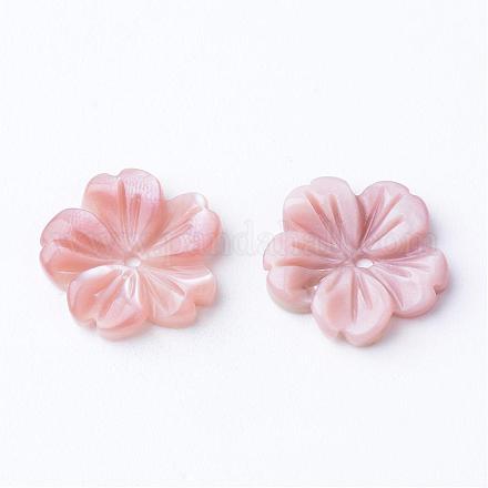 Pink Shell Beads SSHEL-S250-03-1