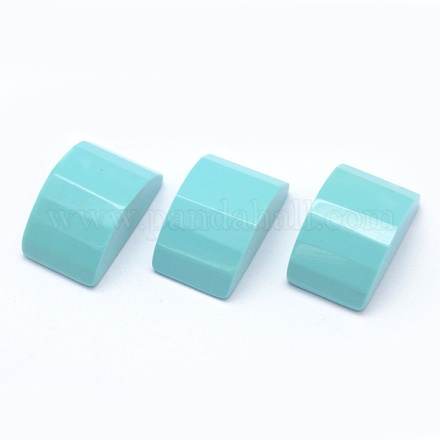 Cabochons en turquoise synthétique G-E491-P01-1