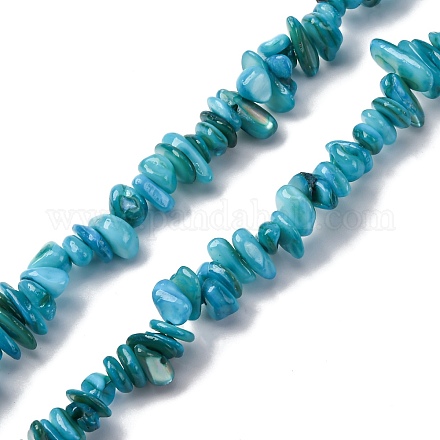 Нити бусин из натуральных пресноводных ракушек BSHE-I016-01A-1