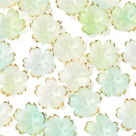 50 шт. акриловые колпачки для бусин OACR-YW0002-67B-1