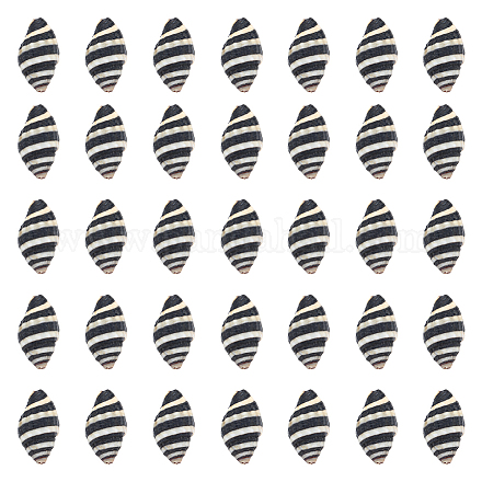 SUNNYCLUE 1 Box 50Pcs Spiral Shells Small Spiral Seashells Vase Fillers Zebra Pattern Hawaii Style Sea Ocean Beach Black White Conch Un-Drilled No Hole Shells for Candle Filler Craft Home Decoration SSHEL-SC0001-24-1