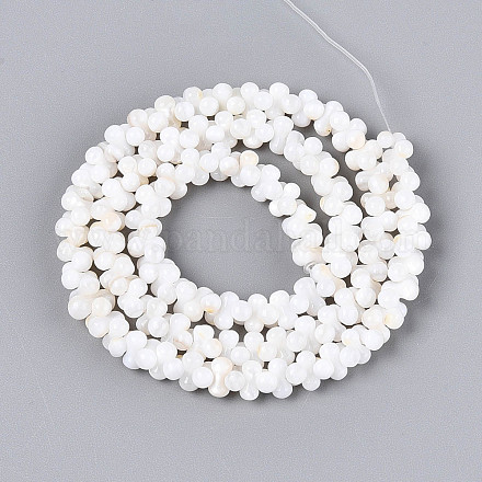 Нити бусин из натуральных пресноводных ракушек SHEL-N038-29B-1