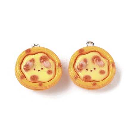 Подвески из непрозрачной смолы LS-FIND-Z092-02P-04-1