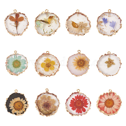 Pandahall – pendentifs intérieurs en résine de fleurs séchées RESI-TA0002-49-1