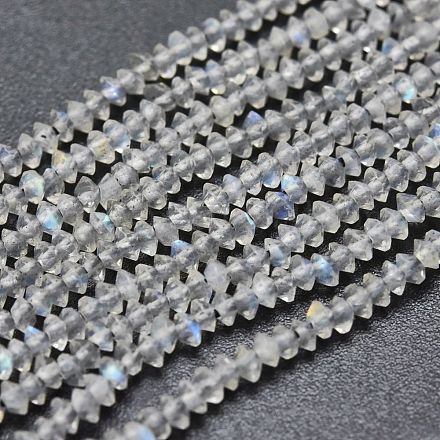 Chapelets de perles en labradorite naturelle  G-F686-17-1