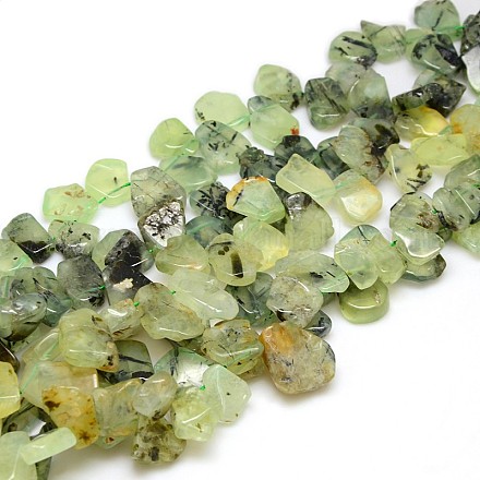 Natural Gemstone Prehnite Beads Strands G-L157-03-1