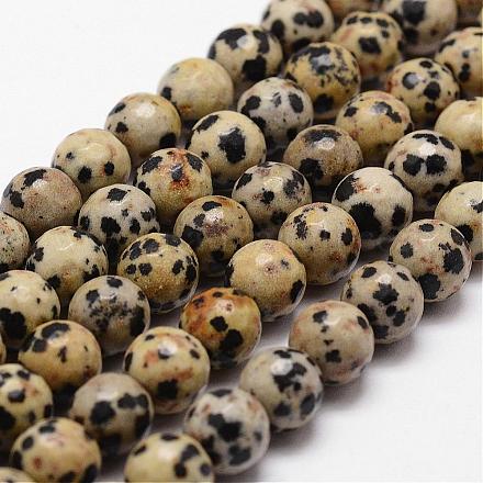 Chapelets de perles en jaspe dalmatien naturelle G-D840-49-10mm-1