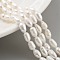 Natural Cultured Freshwater Pearl Beads Strands, Rice, Grade 3A++, Snow, 4~5mm, Hole: 0.6mm, about 26~27pcs/strand, 7.09''~7.28''(18~18.5cm)