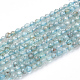 Brins de perles d'apatite transparentes naturelles G-T064-16-1