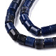 Natural Sodalite Beads Strands G-N326-150-B03-3