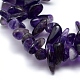 Natural Amethyst Beads Strands G-K220-04-3