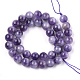 Natural Amethyst Beads Strands G-S333-10mm-020-2