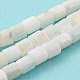 Eau douce naturelle de coquillage perles brins SHEL-F008-04A-2