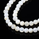 Natural Freshwater Shell Beads Strands BSHE-T009A-01A-4