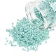 Runde Saatperlen&nbsp;SEED-XCP0001-48-1