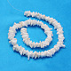 Natural Sea Shell Chips Beads Strands BSHE-Q024-02-2