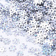 装飾アクセサリー  ポリ塩化ビニールのプラスチック製のスパンコール/スパンコールビーズ  ABカラー  スノーフレーク  クリスマスのために  雪  6x0.2mm  穴：0.9mm  約4000個/50g X-PVC-R022-001-2
