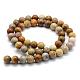 Natural Fossil Coral Beads Strands G-G763-12-8mm-5