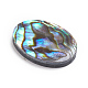 Cabochon di conchiglia abalone naturale / paua shell SSHEL-L017-003-2