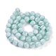 Natural Glass Beads Strands G-I247-15B-2