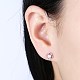 Exquisite 925 Sterling Silver Cubic Zirconia Stud Earrings EJEW-BB20096-2