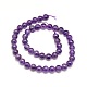 Natural Amethyst Round Beads Strands G-P047A-1A-2