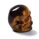 天然石タイガーアイビーズ  ハロウィンの頭蓋骨  11~11.5x8.5~9x11~11.5mm  穴：0.9~1mm G-C038-01K-3