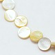 Natural Yellow Shell Beads Strands BSHE-I001-05B-1