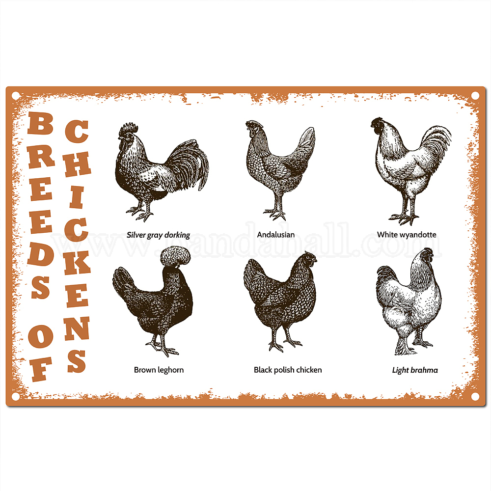 Shop CREATCABIN Breeds of Chickens Sign Tin Plate Funny Animal Signs ...