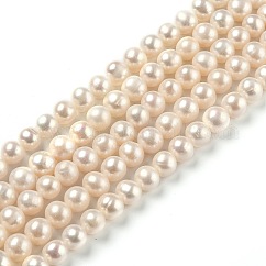 Fili di perle di perle d'acqua dolce coltivate naturali, tondo, bisque, 7~7.5x7~9mm, Foro: 0.5 mm, circa 51pcs/filo, 14.65 pollice (37.2 cm)