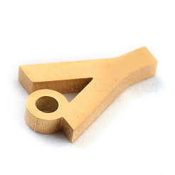 Ciondoli in acciaio inox 304&nbsp;STAS-F267-10G-G